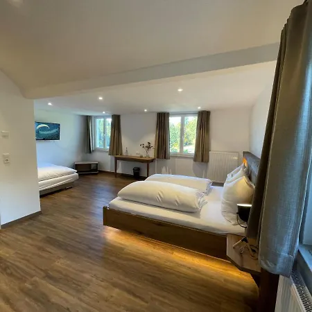 Hotel Reich Am Ebnisee 4*