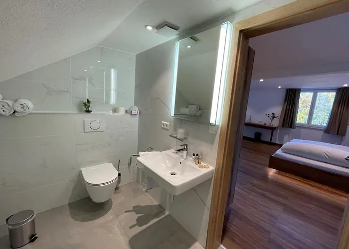 호텔 Reich Am Ebnisee 4*